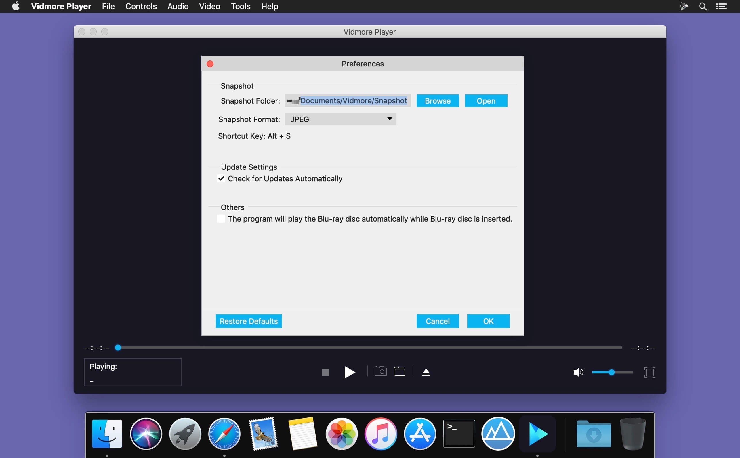 Vidmore Player screenshot 2